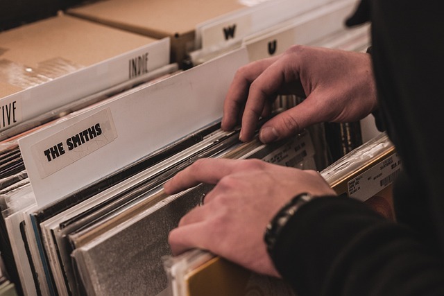 Discos de vinil preço-dos-discos-de-vinil-dj-rafael-boneco-discotecagem-com-vinil-em-campinas